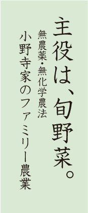 主役は、旬野菜。無農薬・無化学農法 小野寺家のファミリー農業