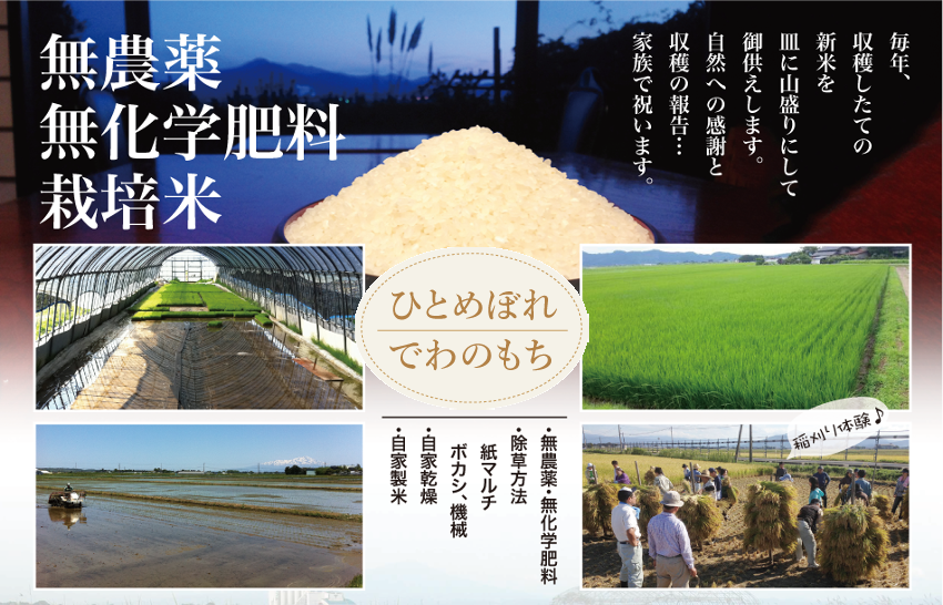 無農薬　無化学肥料　栽培米（ひとめぼれ、つや姫、コシヒカリ、でわのもち）